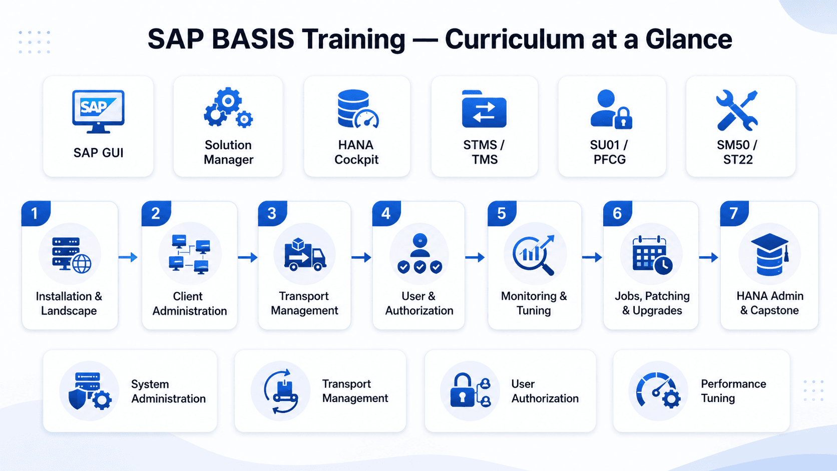 SAP BASIS training curriculum overview — Installation, Transport Management, User Administration, Monitoring, 6-8 week roadmap